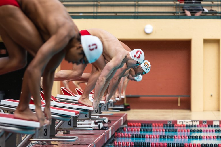 Swimmers ready themselves to dive into the water and begin a race.