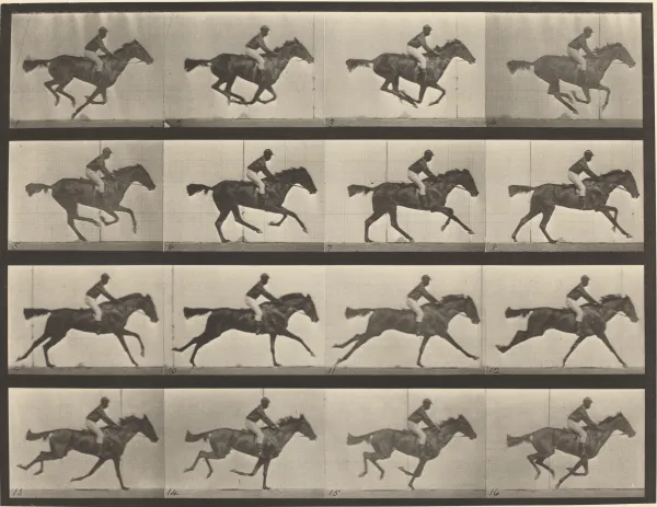 Film strips from "The Horse on Motion."