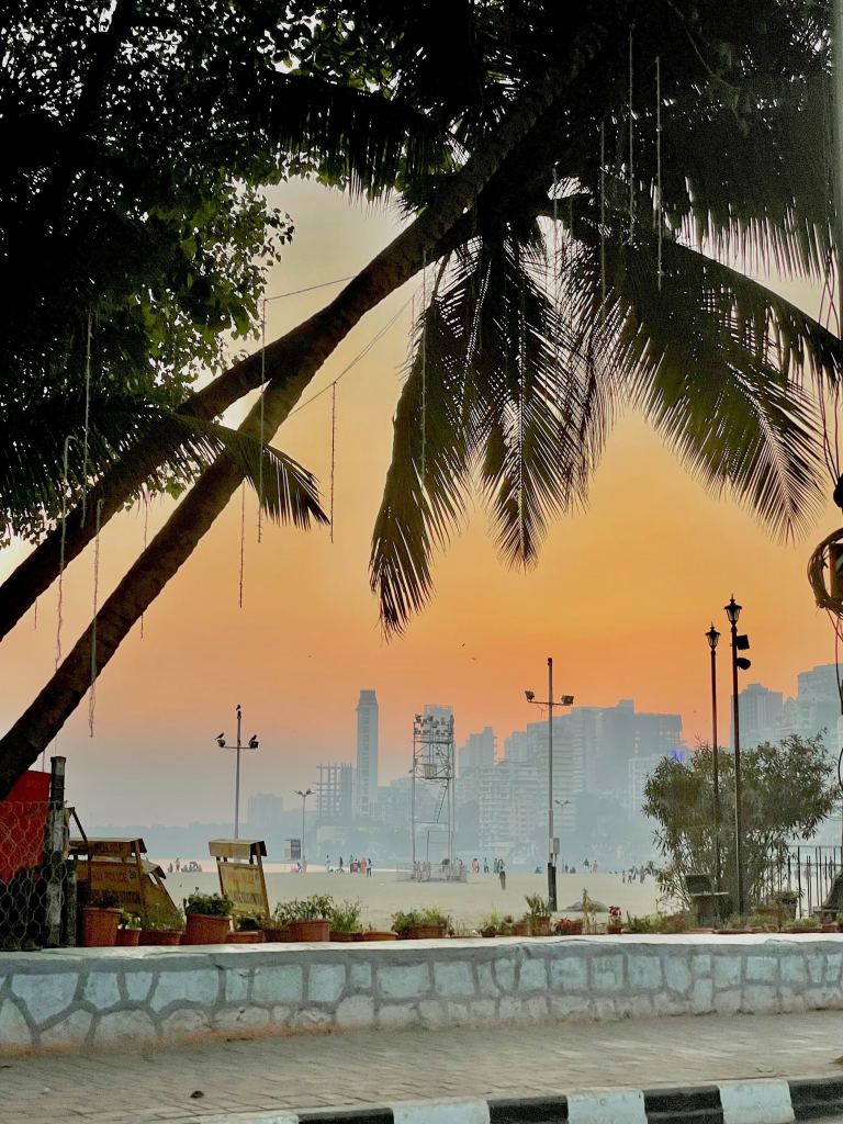 Sunset. A palm tree hangs over the scene. Tall buildings can be seen in the background.