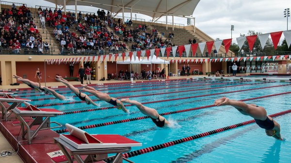 Swimmers dive into a pool in their respective lanes as the crowd watches on