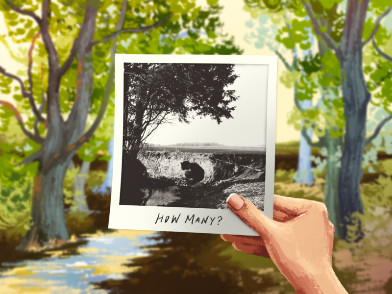 Right hand holding a Polaroid-like image of Jake Minch's EP album cover, "how many," in front of a backdrop with trees and a river flowing through.