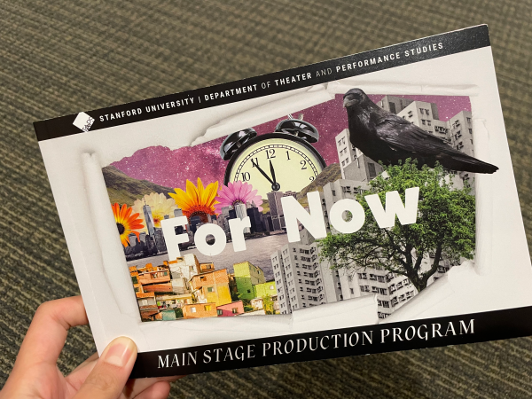 A photo of the program of TAPS' "For Now" production.