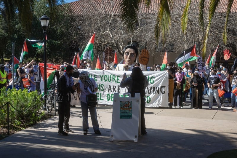 A crowd carries pro-Palestine flags and banners.