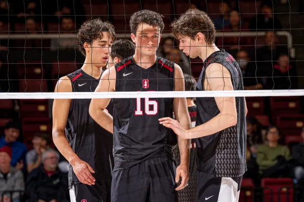 Alex Rottman, Nathaniel Gates, Theo Snoey, Stanford men's volleyball team members gather near the net.