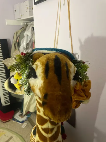 A zoomed-in image of Dan's stuffed giraffe with a piano keyboard visible in the background.
