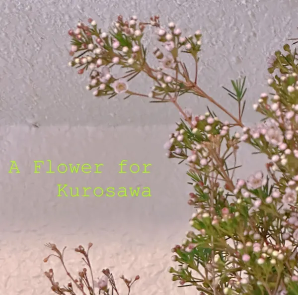 Pink blossoms against a lilac background with the text 'A Flower for Kurosawa' in lime green.