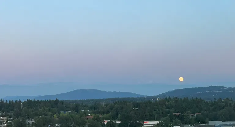 A picture of the moon in a bluish-purple sky.