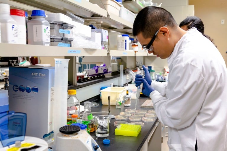 a scientist holds a dropper above testing containers in a lab