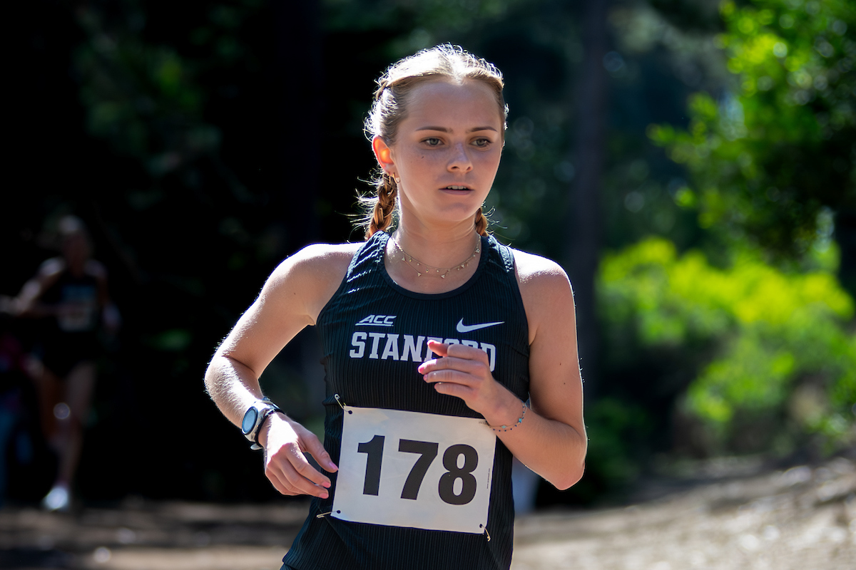 Stanford men's cross country secures third place at prenationals