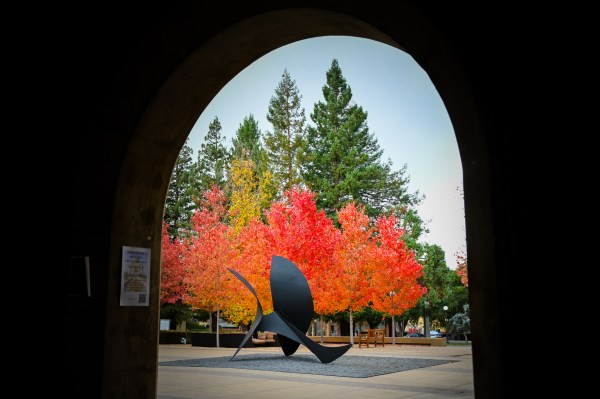 A statue in the middle of Stanford Law School