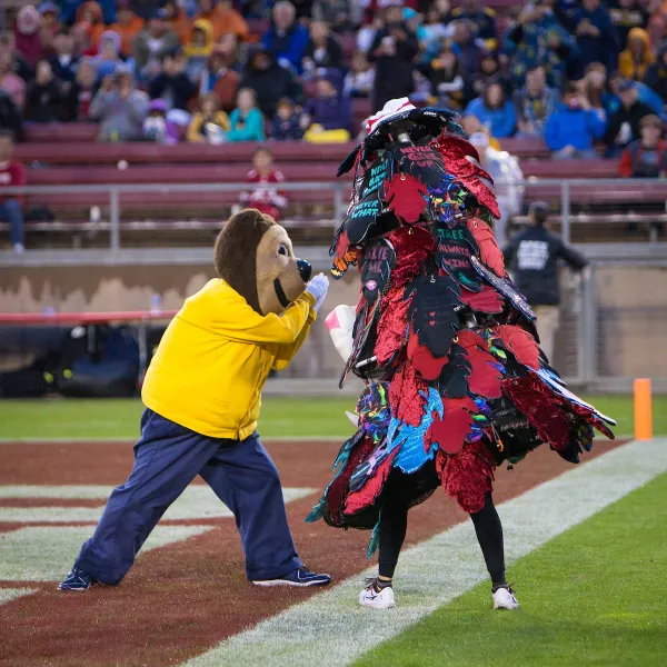 Oski the Bear and the Stanford Tree during the 2023 Big Game. (Photo: AL CHANG/ISI Photos)