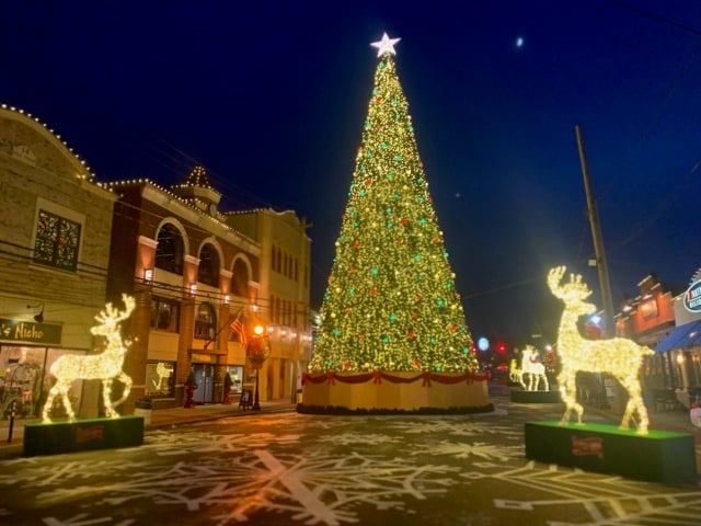 A Christmas tree light display with reindeers