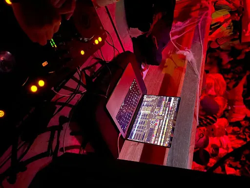 Beyond switching from song to song, have you ever noticed what DJs actually do? (Photo: LEON REILLY/The Stanford Daily)