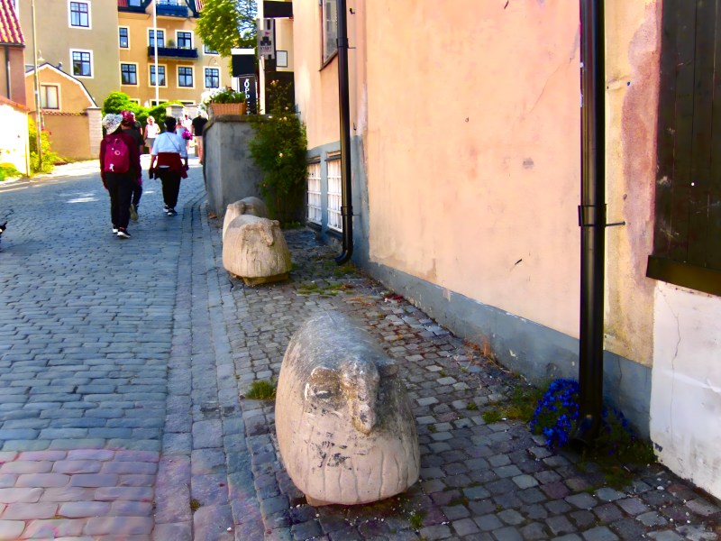 Photo and podcast | Sheep don't roar: The symbolic mascot of Gotland, Sweden 5 Photo and podcast | Sheep don't roar: The symbolic mascot of Gotland, Sweden