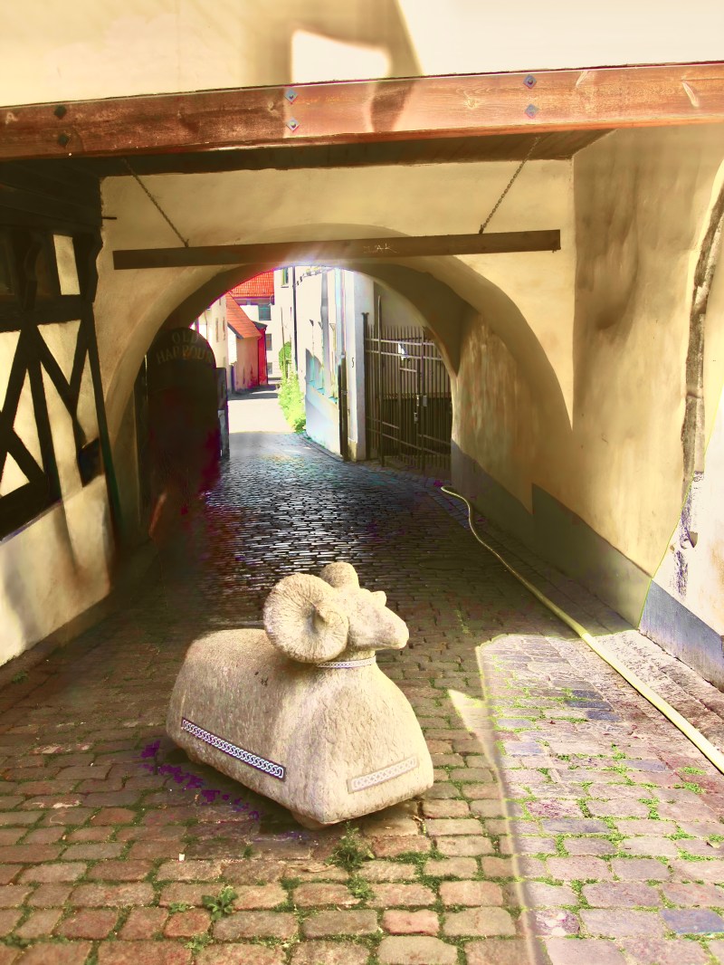 Photo and podcast | Sheep don't roar: The symbolic mascot of Gotland, Sweden 4 Photo and podcast | Sheep don't roar: The symbolic mascot of Gotland, Sweden