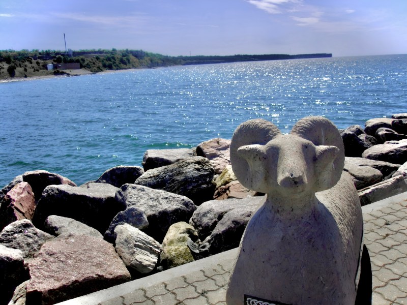 The Daily's 2025 Summer High School Multimedia Exhibition 4 The Daily's 2025 Summer High School Multimedia Exhibition