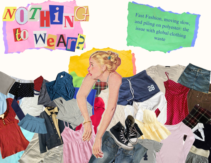 The Daily's 2025 Summer High School Multimedia Exhibition 1 The Daily's 2025 Summer High School Multimedia Exhibition