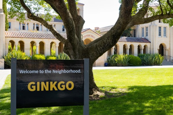 A sign reading "Welcome to Neighborhood Ginkgo" stands in front of a tree.