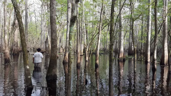 "I have harnessed my trauma to foster good for others because resilience is necessary for survival," White writes. (Photo: ELLIOT WHITE JR/The Stanford Daily)