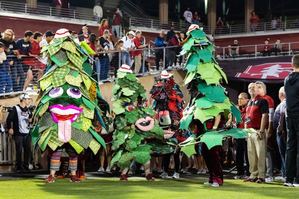 A group of Stanford Trees before the Cardinal's homecoming game against Florida State University at Stanford Stadium on Oct. 18. The Tree is celebrating its 50th birthday this year. (Photo: MATTHEW HUANG/ISI Photos)