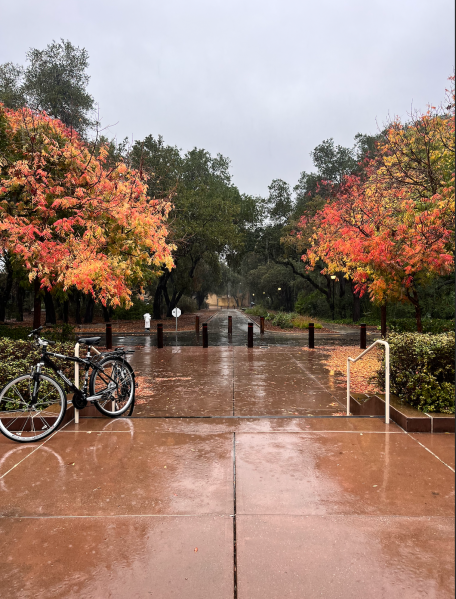 A picture of a pavement with stairs covered in rainwater