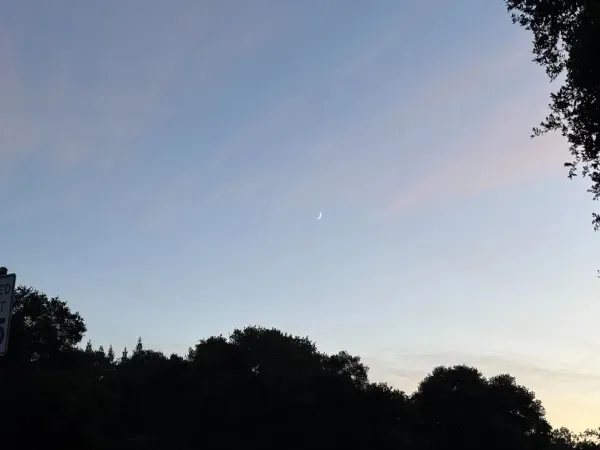 (Photo: LILY ZOU/The Stanford Daily)