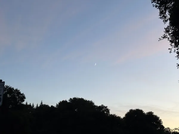 (Photo: LILY ZOU/The Stanford Daily)