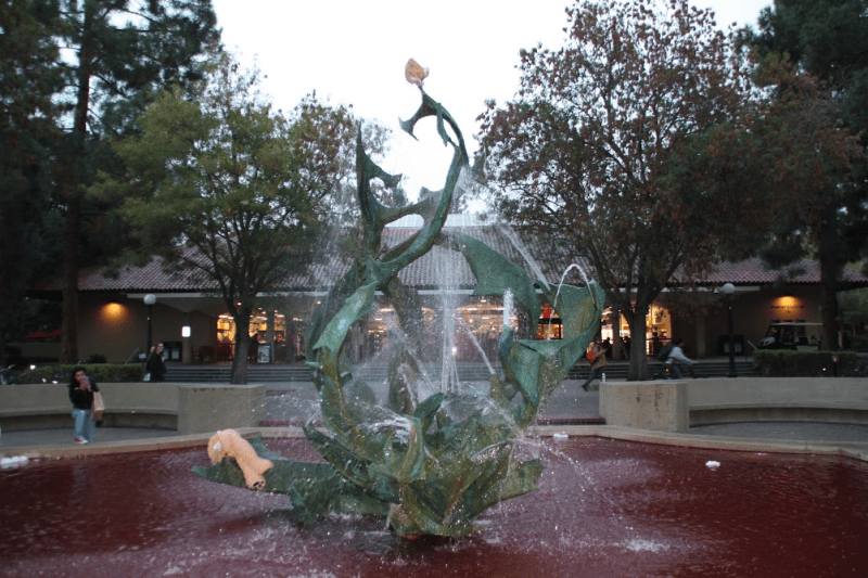 The Bearial’s Aftermath (Photo: TORIN YOUNG/THE STANFORD DAILY)
