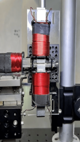 (Courtesy of Gozde Durmus)