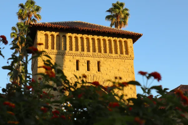An image of Stanford campus and trees.