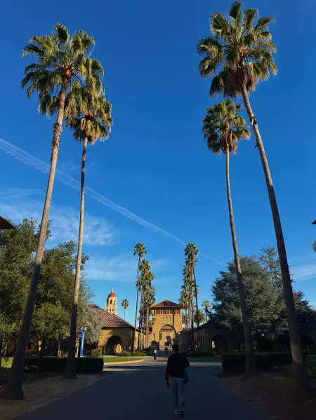Vertical photo of the west entrance to Main Quad, lined with palm trees