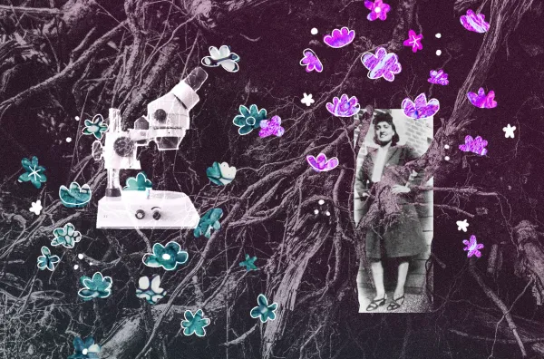 Henrietta Lacks' legacy remains a testament to the need for ethical practices in medicine. (Graphic: CHINYOUNG SHAO/The Stanford Daily)