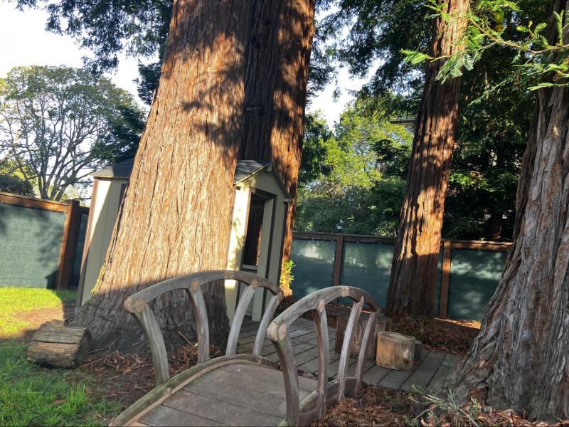 Bing Nursery School celebrates 60 years of research 3 Bing Nursery School celebrates 60 years of research