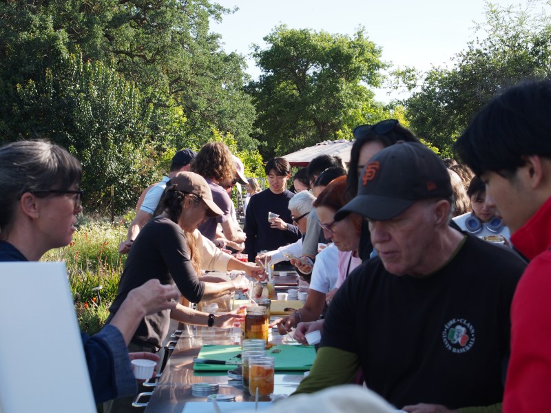Fermentation Festival brings fungi and fermented foods to the Farm 2 Fermentation Festival brings fungi and fermented foods to the Farm