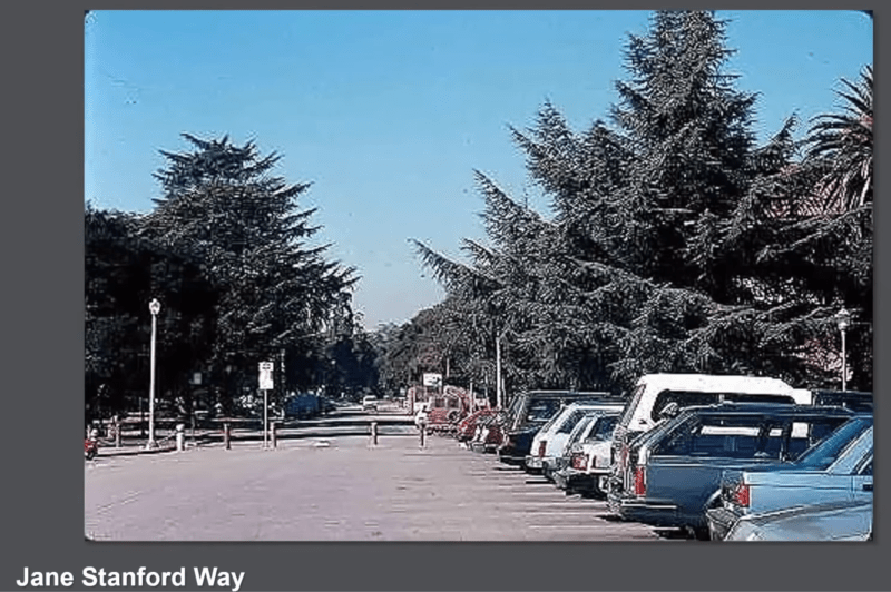 From the Community | Easy as X, Y, C (SE): How to get public transport back on track. 1 From the Community | Easy as X, Y, C (SE): How to get public transport back on track.