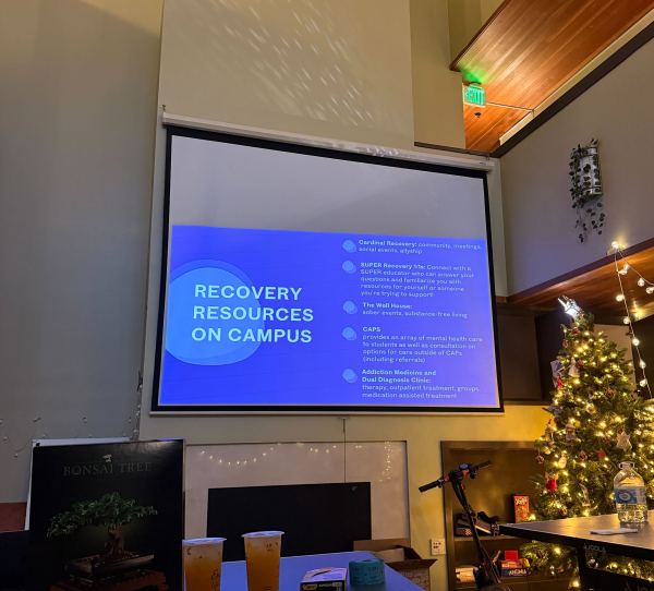 A photo of the Recovery Allyship workshop slideshow