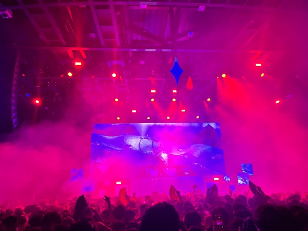 Stay in Bloom Festival returned to Frost Amphitheater for its third consecutive year with a lineup that balanced energy and emotion. (Courtesy of Samuel Wu '27)