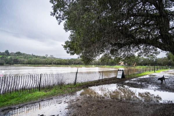 flooded lake lagunita path