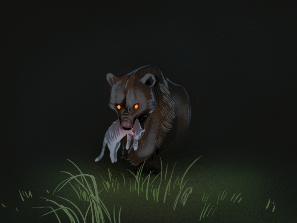 A bear holding a dead cat menacingly between its teeth.