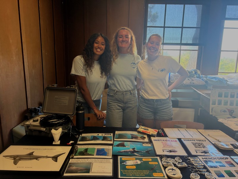Hopkins Marine Station hosts ‘Sharktober’ event, educates public about white sharks 1 Researchers stand behind their information table at Sharktober.