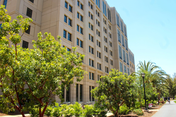 The drop in master's degree enrollment nationwide is accelerating, while Stanford's numbers are holding steady. (Photo: ANDY HUYNH / The Stanford Daily)