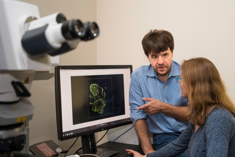 Stanford professor Karl Deisseroth, Ph.D. ’98, M.D. ’00, wins 2026 Nobel Prize for new way to study the brain using light 3 Stanford professor Karl Deisseroth, Ph.D. ’98, M.D. ’00, wins 2026 Nobel Prize for new way to study the brain using light