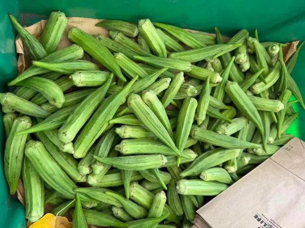 "The market was located in the center of a long street, with nail salons, coffee shops and restaurants on the side," writes Zou. (Photo: ANGEL ZOU/The Stanford Daily)